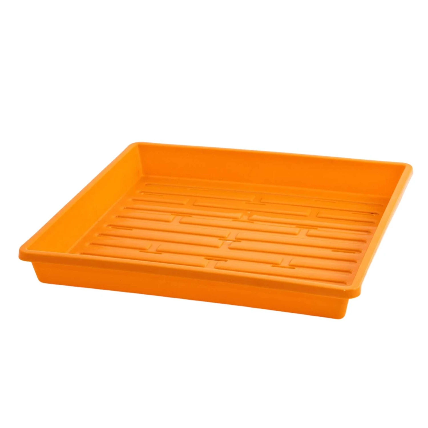 1010 Shallow Seed Trays(1010 Shallow Seed Trays) 11 1010 Shallow Seed Trays(1010 Shallow Seed Trays) - Image 9