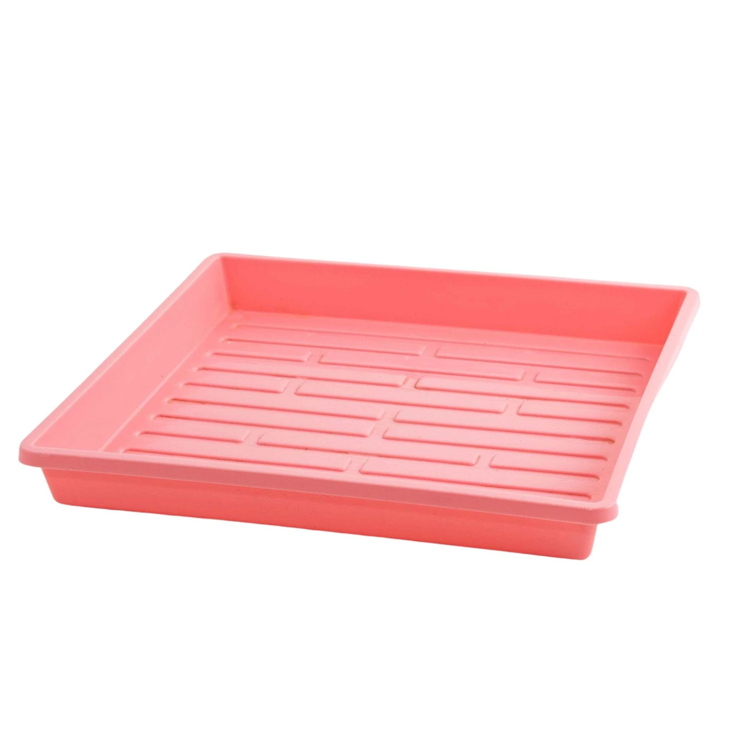 1010 Shallow Seed Trays(1010 Shallow Seed Trays) 8 1010 Shallow Seed Trays(1010 Shallow Seed Trays) - Image 6