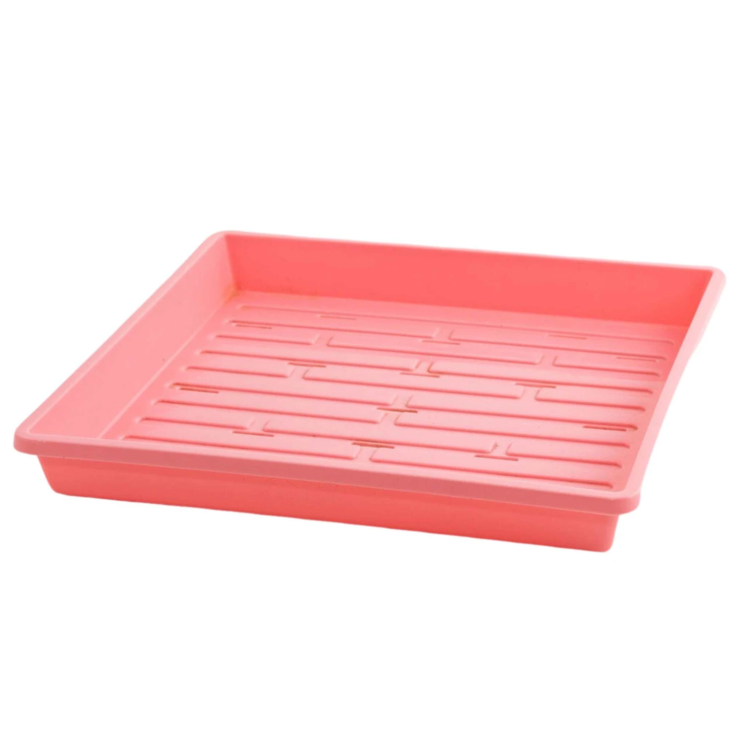 1010 Shallow Seed Trays(1010 Shallow Seed Trays) 7 1010 Shallow Seed Trays(1010 Shallow Seed Trays) - Image 5