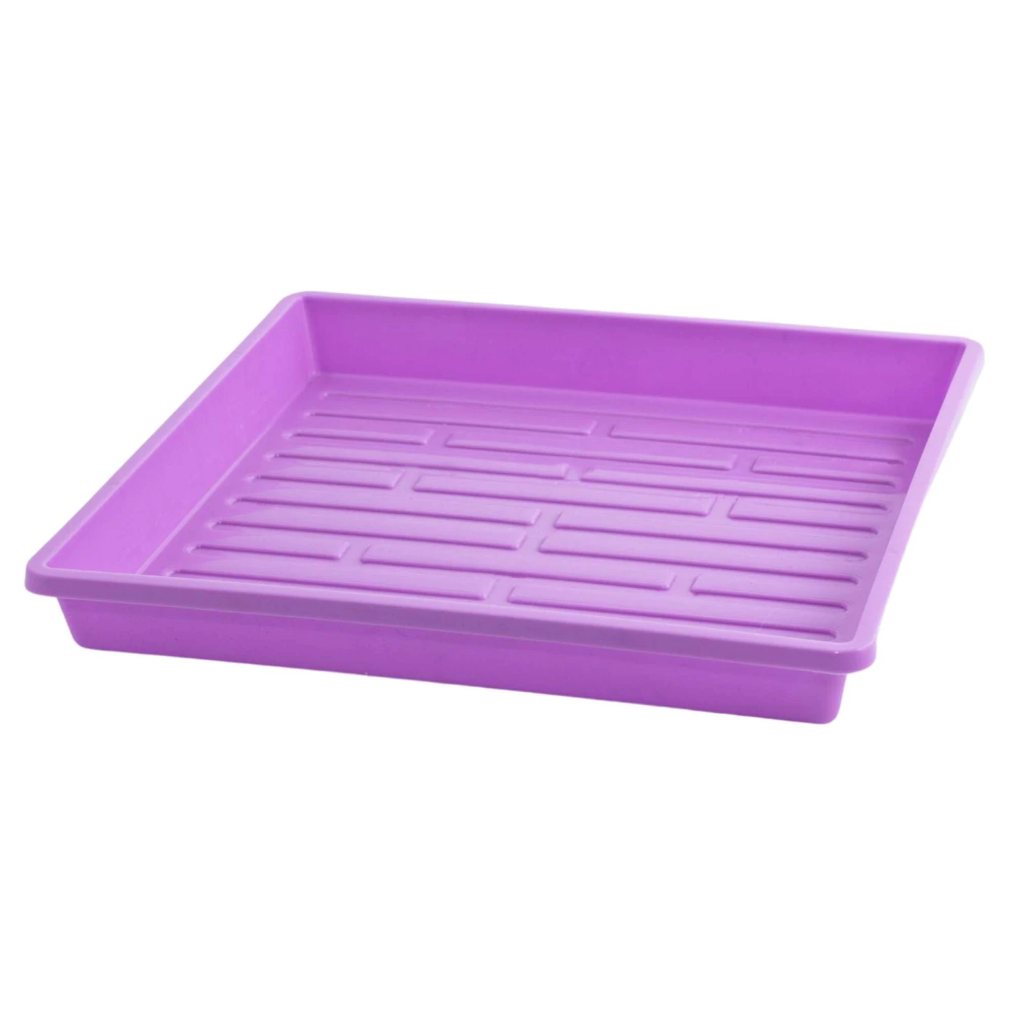 1010 Shallow Seed Trays(1010 Shallow Seed Trays) 15 1010 Shallow Seed Trays(1010 Shallow Seed Trays) - Image 13