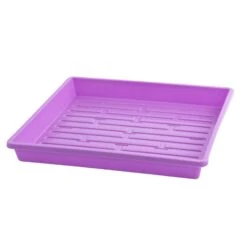 1010 Shallow Seed Trays(1010 Shallow Seed Trays) 31 1010 Shallow Seed Trays(1010 Shallow Seed Trays) -Pepper Joe shop 1010PurpleShallowWHole