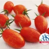 Red Torch Hybrid Tomato Seeds(Red Torch Hybrid Tomato Seeds) 2 Red Torch Hybrid Tomato Seeds(Red Torch Hybrid Tomato Seeds) -Pepper Joe shop 1 27ebf285 dc36 4795 a49d 731930ddb0c3