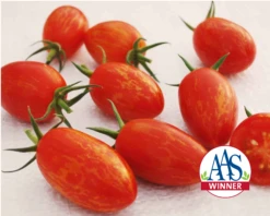 Red Torch Hybrid Tomato Seeds(Red Torch Hybrid Tomato Seeds)