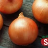 Candy Hybrid Onion Seeds(Candy Hybrid Onion Seeds) -Pepper Joe shop 2 46800290 91a7 4c9e b94a 56ca687a1d0b