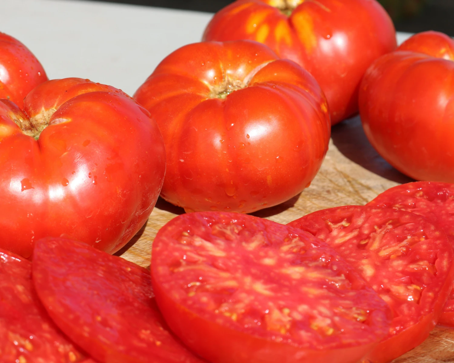 Beefmaster Hybrid Tomato Seeds(Beefmaster Hybrid Tomato Seeds) 4 Beefmaster Hybrid Tomato Seeds(Beefmaster Hybrid Tomato Seeds) - Image 2
