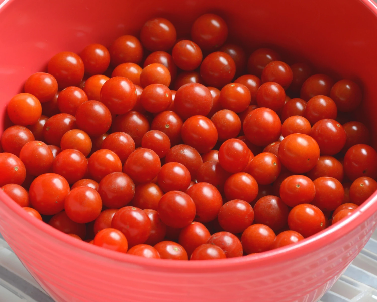 Candyland Red Tomato Seeds(Candyland Red Tomato Seeds) 4 Candyland Red Tomato Seeds(Candyland Red Tomato Seeds) - Image 2