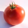 Big Beef Plus Hybrid Tomato Seeds(Big Beef Plus Hybrid Tomato Seeds) 2 Big Beef Plus Hybrid Tomato Seeds(Big Beef Plus Hybrid Tomato Seeds) -Pepper Joe shop 2 d2f18cb5 b4cf 4ed5 837a 0fae6c8a1a69