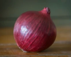 Red Nugent Hybrid Onion(Red Nugent Hybrid Onion)
