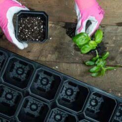 3.3" Heavy Duty Seed Starting Pots(3 3 Heavy Duty Seed Starting Pots) -Pepper Joe shop 3InchPotsIn1020WithInsertLifestyle