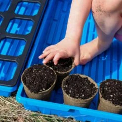 CowPots® #3 Round(Cowpots 3 Round) -Pepper Joe shop 3 In Round Cowpots Planted in 1020 Tray