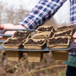 CowPots® #3 Square(Cowpots 3 Square) -Pepper Joe shop 3 In Square Pots in 3.3 Insert Holder a4b99d12 01b9 4698 b228 7c4abaa53813