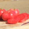 Pink Girl Hybrid Tomato Seeds(Pink Girl Hybrid Tomato Seeds) -Pepper Joe shop 3 c48b6eba 2ea2 4ccc af57 35751d647488