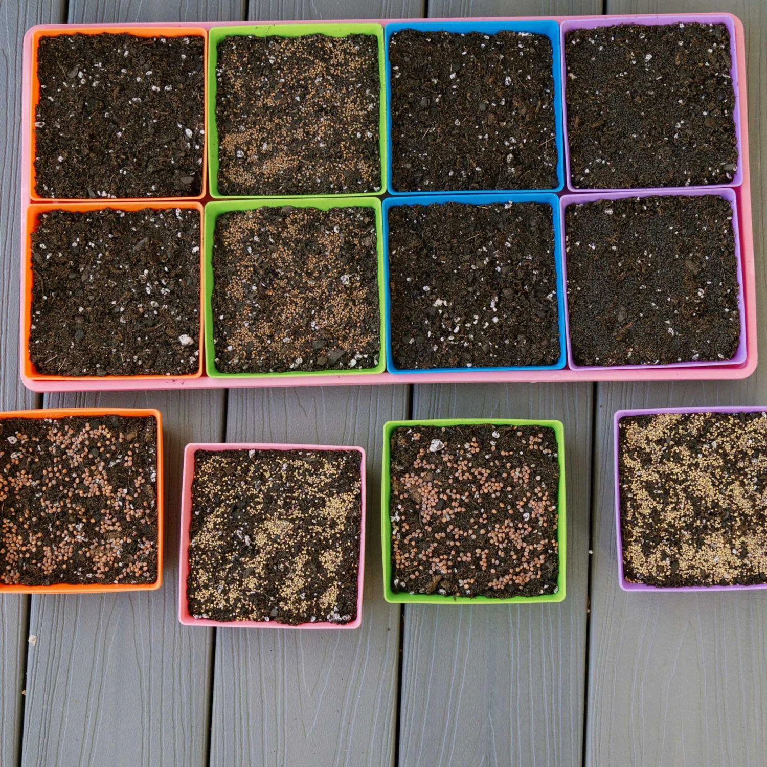 5X5 Shallow Microgreen Trays(5x5 Shallow Microgreen Trays) 4 5X5 Shallow Microgreen Trays(5x5 Shallow Microgreen Trays) - Image 2