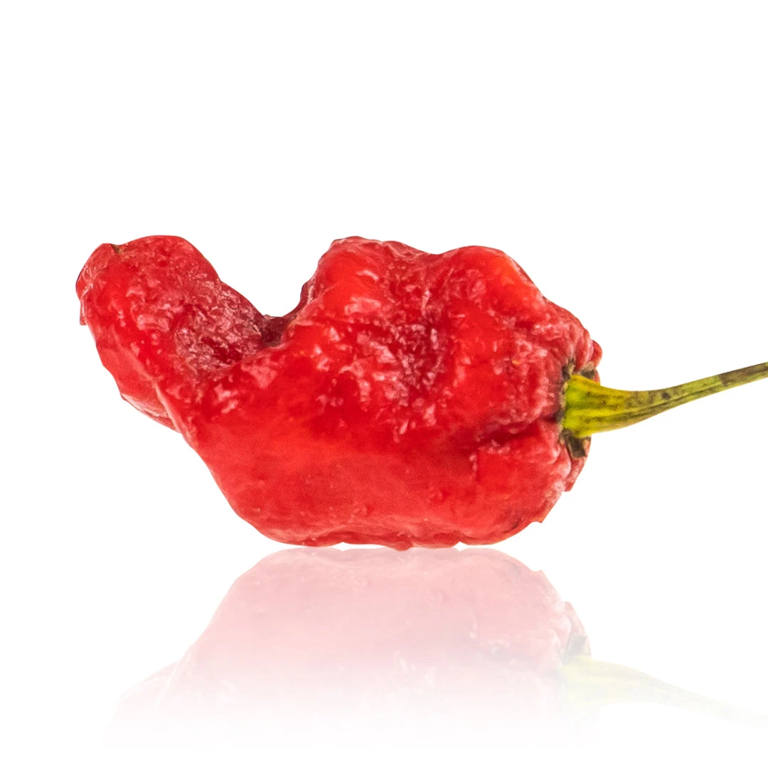 7 Pot Madballz Chili Pepper Seeds(7 Pot Madballz Chili Pepper Seeds) 3 7 Pot Madballz Chili Pepper Seeds(7 Pot Madballz Chili Pepper Seeds)