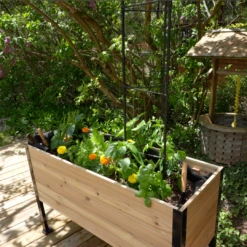 Vegetable Cage(Vegetable Cage) -Pepper Joe shop 8.Inthewild