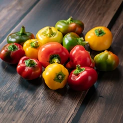 Mini Bell Pepper Seed Variety Mix(Mini Bell Mix)