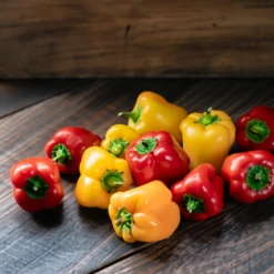 Mini Bell Pepper Seed Variety Mix(Mini Bell Mix) -Pepper Joe shop AIMinibellmix4