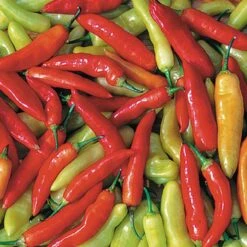 Aji Cristal Pepper Seeds(Aji Cristal Pepper Seeds)