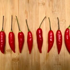 Aji Omnicolor Pepper Seeds(Aji Omnicolor Pepper Seeds) -Pepper Joe shop Aji Omnicolor Pepper.05