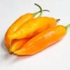 Aji Amarillo Pepper Seeds(Aji Amarillo Pepper Seeds) -Pepper Joe shop AjiAmarillo