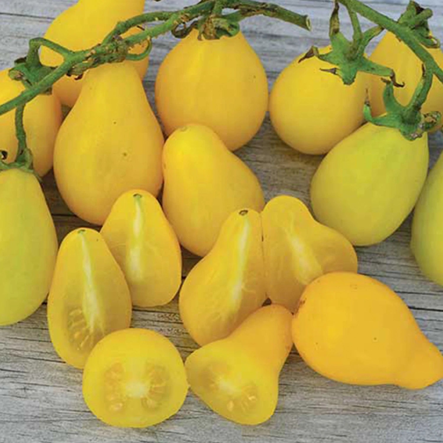 Beam's Yellow Pear Tomato Seeds(Beams Yellow Pear Tomato Seeds) 3 Beam's Yellow Pear Tomato Seeds(Beams Yellow Pear Tomato Seeds)