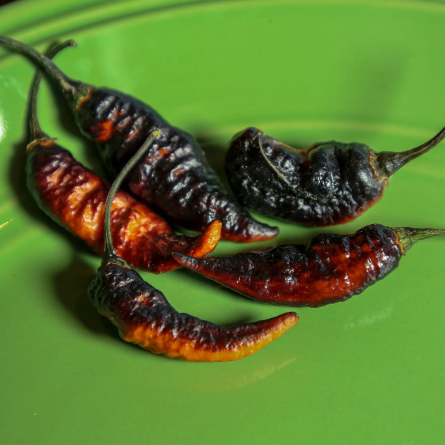 Black Panther Pepper Seeds(Black Panther Pepper Seeds) 4 Black Panther Pepper Seeds(Black Panther Pepper Seeds) - Image 2