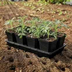 5" Nursery Pots With Insert Tray(5 Nursery Pots With Insert Tray) -Pepper Joe shop Black5 Lifestyle