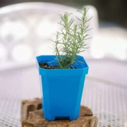5" Nursery Pots With Insert Tray(5 Nursery Pots With Insert Tray) -Pepper Joe shop Blue5 LIfestyle