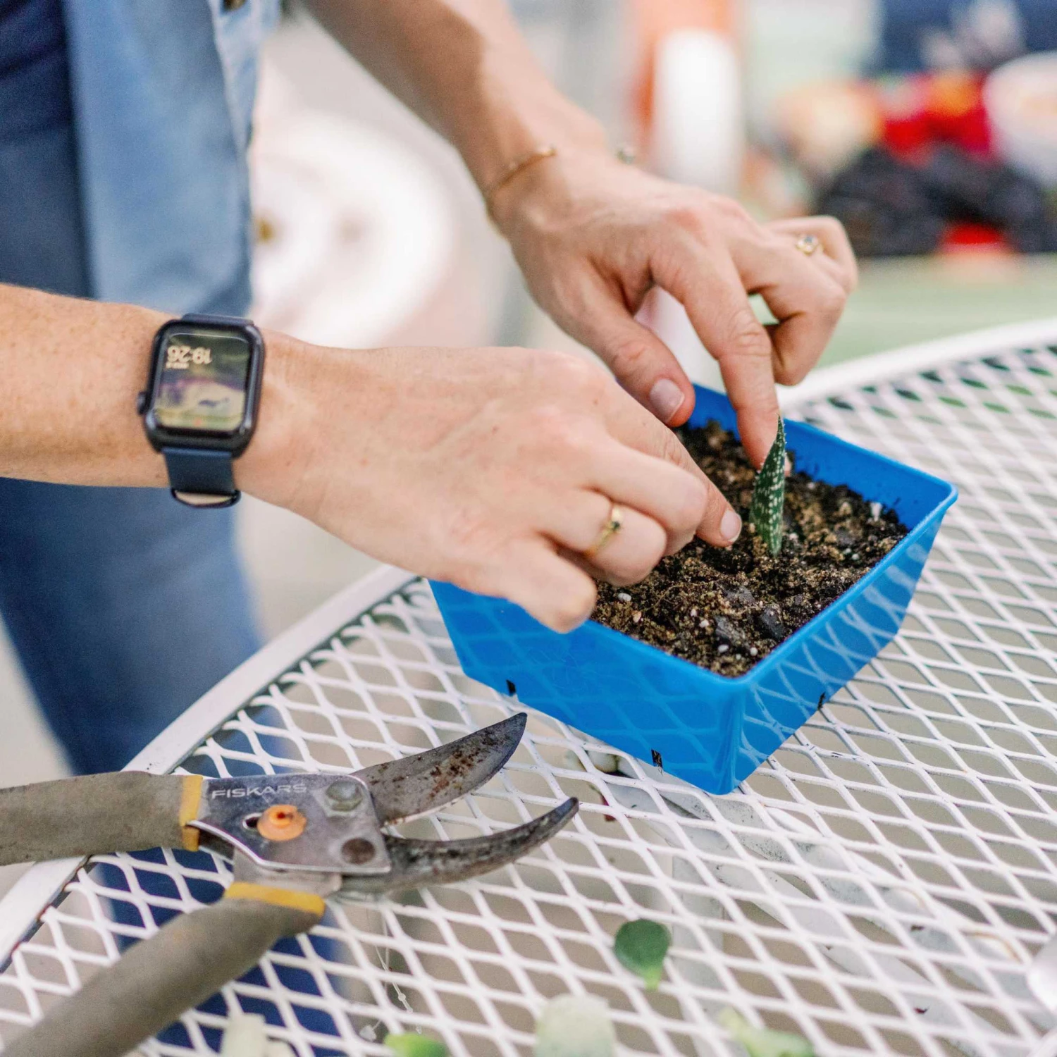 5x5 Grow Trays - Extra Strength Inserts(5x5 Grow Trays Extra Strength Inserts) 6 5x5 Grow Trays - Extra Strength Inserts(5x5 Grow Trays Extra Strength Inserts) - Image 4