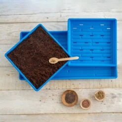 1010 Microgreens Kit(1010 Microgreens Kit) -Pepper Joe shop Blue 1010 Microgreens Kit Lifestyle