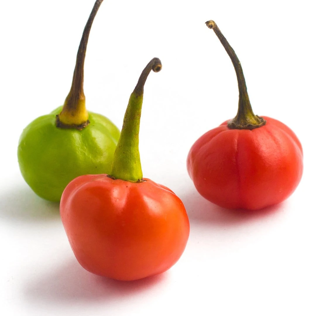 Bode Red Pepper Seeds(Bode Red Pepper Seeds) 3 Bode Red Pepper Seeds(Bode Red Pepper Seeds)