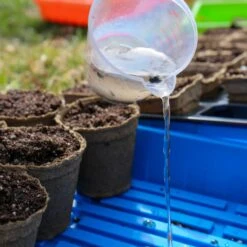 CowPots® #3 Round(Cowpots 3 Round) -Pepper Joe shop Bottom Watering 3 In Round CowPots