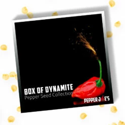 Box Of Dynamite Super Hot Seed Collection(Box Of Dynamite) -Pepper Joe shop Box of Dynamite Pepper Seed Collection.02