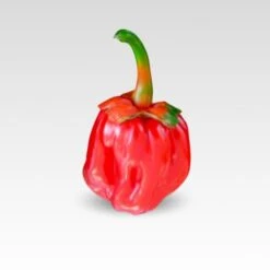 Bubblegum 7 Pot Pepper Seeds(Bubblegum Pepper)