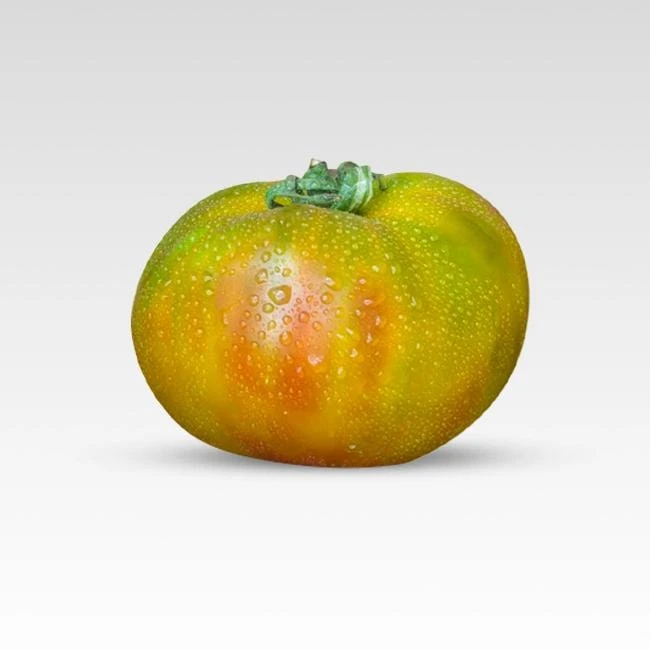 Captain Lucky Tomato Seeds(Captain Lucky Tomato) 3 Captain Lucky Tomato Seeds(Captain Lucky Tomato)