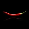 Cayenne Lovers Pepper Seed Collection(Cayenne Pepper 6 Pack) -Pepper Joe shop Cayene Lovers Pepper Seed Collection.03