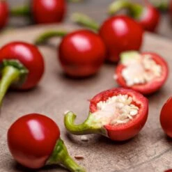 Cherry Mini Hot F1 Pepper Seeds(Cherry Mini Hot F1 Pepper Seeds)