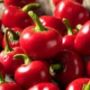 Cherry Hot Pepper Seeds(Cherry Hot Pepper) -Pepper Joe shop CherryHot e69ecd7f 5ca3 4e46 ba2d ccdf13566b37
