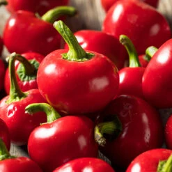 Cherry Hot Pepper Seeds(Cherry Hot Pepper)