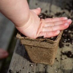 Front Page -Pepper Joe shop Child Compressing Dirt in 3 In Square CowPot
