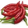 Chile De Arbol Pepper Seeds(Chile De Arbol Pepper Seeds) 2 Chile De Arbol Pepper Seeds(Chile De Arbol Pepper Seeds) -Pepper Joe shop Chile De Arbol1