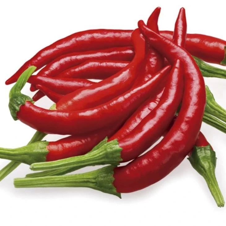 Chile De Arbol Pepper Seeds(Chile De Arbol Pepper Seeds) 3 Chile De Arbol Pepper Seeds(Chile De Arbol Pepper Seeds)