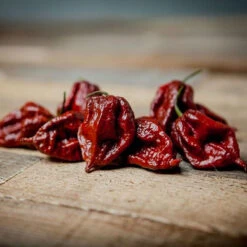 Chocolate Fever Pepper Seed Collection(Chocolate Fever Super Hot Seed Collection)