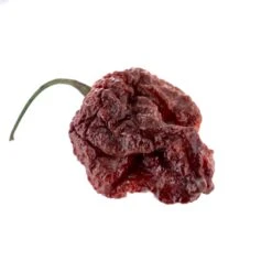 Chocolate Moruglah Pepper Seeds(Chocolate Moruglah Pepper Seeds)