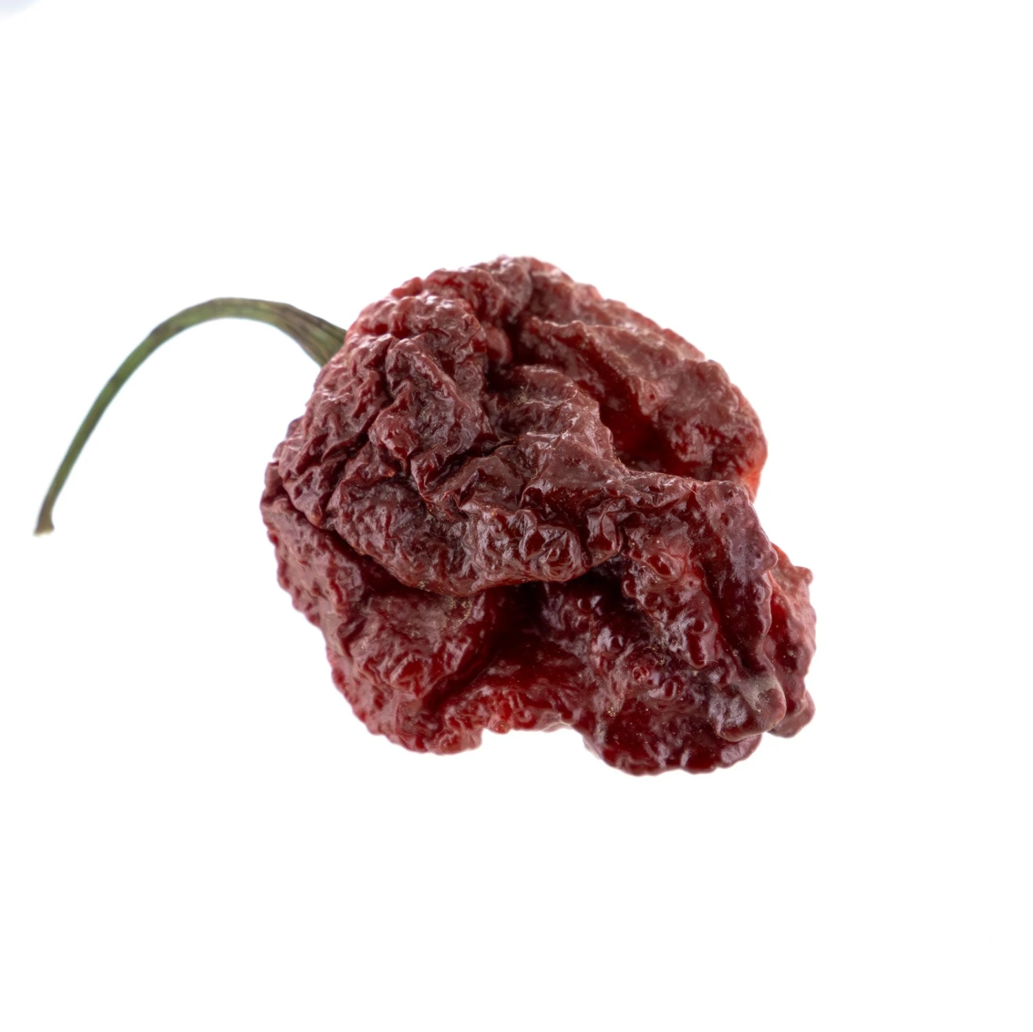 Chocolate Moruglah Pepper Seeds(Chocolate Moruglah Pepper Seeds) 3 Chocolate Moruglah Pepper Seeds(Chocolate Moruglah Pepper Seeds)