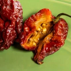 Chocolate Moruglah Pepper Seeds(Chocolate Moruglah Pepper Seeds) 7 Chocolate Moruglah Pepper Seeds(Chocolate Moruglah Pepper Seeds) -Pepper Joe shop Chocolate Moruglah.03