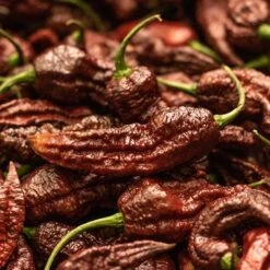 Chocolate Bhutlah Pepper Seeds(Chocolate Bhutlah Seeds 1)
