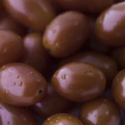 Chocolate Cherry Tomato Seeds(Chocolate Cherry)