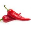 Corno Di Toro Pepper Seeds(Corno Di Toro Pepper Seeds) -Pepper Joe shop CornoDiToroRedcopy