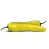 Corno Di Toro Yellow Pepper Seeds(Yellow Corno Di Toro Pepper Seeds) 1 Corno Di Toro Yellow Pepper Seeds(Yellow Corno Di Toro Pepper Seeds) -Pepper Joe shop CornoDiToroYellow